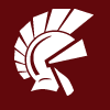delphi helmet logo